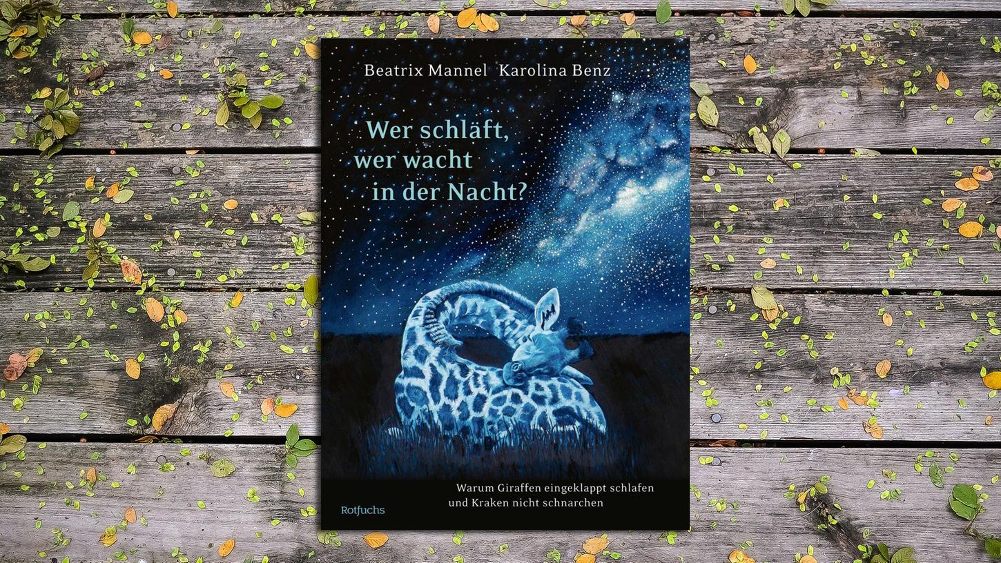 Beatrix Mannel: "Wer schläft, wer wacht in der Nacht?" mit Illustrationen von Karolina Benz.