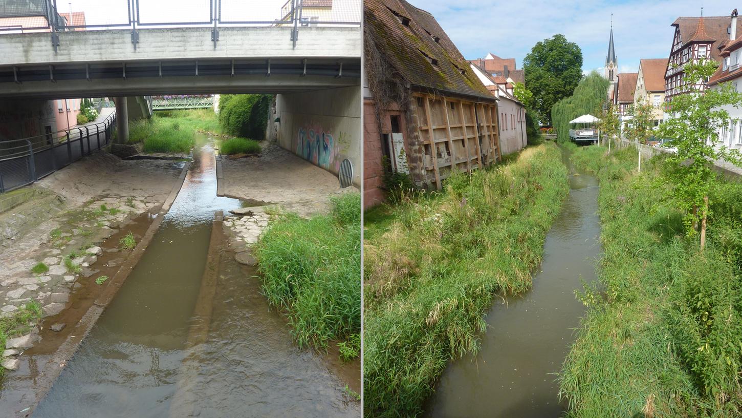 Das muss weg: Für Fische und das Wasserleben sind solche Betonverschalungen (links) eine ökologische Katastrophe. In so verbauten Flüssen finden sie kaum noch Nahrung und Unterschlupf. Und so könnte es aussehen: Einige Abschnitte der Schwabach wurden schon renaturiert (rechts) - mit natürlichem Bachbett, sanften Biegungen und Uferbewuchs bieten sie Lebensraum für Tiere. Das muss weg: Für Fische und das Wasserleben sind solche Betonverschalungen (links) eine ökologische Katastrophe. In so verbauten Flüssen finden sie kaum noch Nahrung und Unterschlupf. Und so könnte es aussehen: Einige Abschnitte der Schwabach wurden schon renaturiert (rechts) - mit natürlichem Bachbett, sanften Biegungen und Uferbewuchs bieten sie Lebensraum für Tiere.