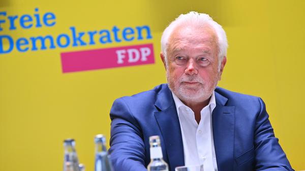 Landesparteitag der FDP in Hamburg