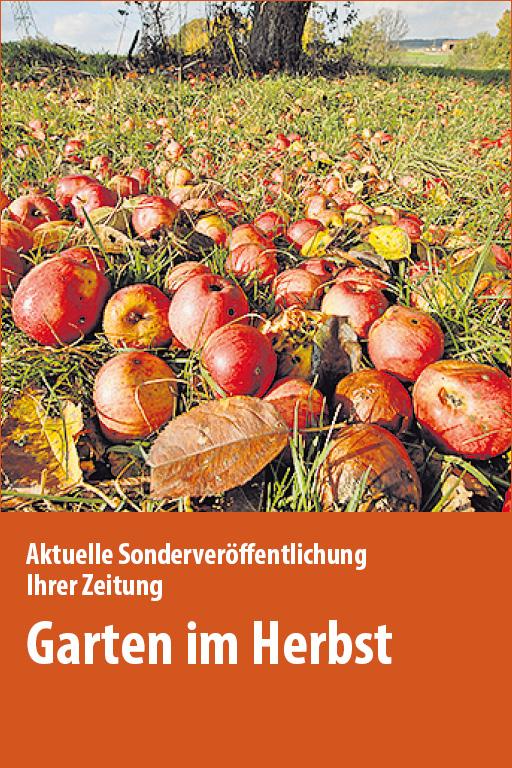 https://mediadb.nordbayern.de/werbung/anzeigen/garten-im-herbst_hfn_16092022_neu.html