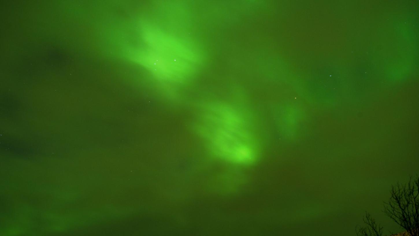 Das Grüne Polarlichter (Aurora borealis) kann man auf einer Schiffsreise zwischen Bergen in Norwegen sehen.