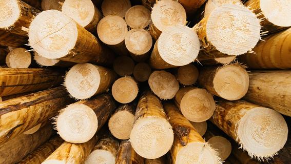Kontroverse über EU-Beschluss zur Holzverbrennung
