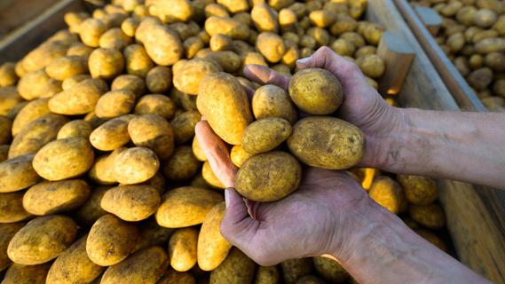 Kampf mit Kartoffel-Krise und Energiekosten: Fränkische Lebensmittelfirma in Existenznot