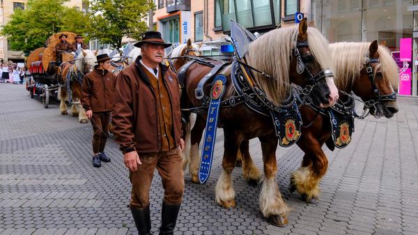 Insgesamt sieben Pferdegespanne waren beim Umzug dabei.