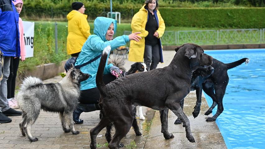 "Am Nachmittag soll es bisschen aufklaren, dann wird es bestimmt auch etwas wärmer", hofft Bettina Kremer, die sich zwar schon an andere verregnete Hundeschwimmtage erinnern kann, "aber nicht an so kalte und ungemütliche".

