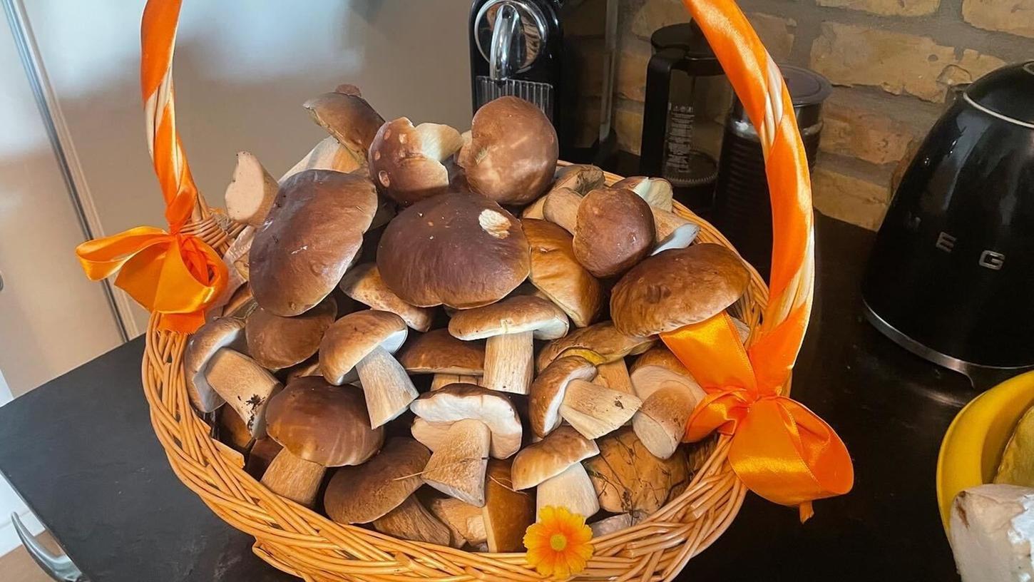 Der Herbst verspricht mit zunehmenden Niederschlägen eine gute Pilzsaison. Der Herbst verspricht mit zunehmenden Niederschlägen eine gute Pilzsaison.