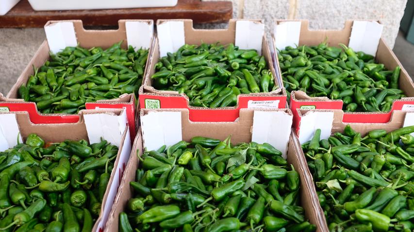 Die kleinen grünen Paprikas stehen auf jeder Speisekarte in Galizien: Pimientos de Padrón verdanken ihren Namen der Stadt Padrón, in deren Umgebung sie angebaut werden. 