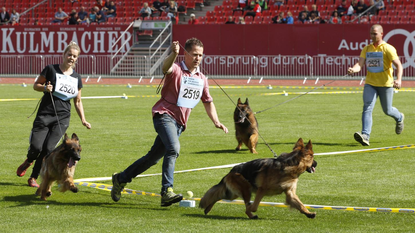 Eine Aufnahme aus dem Jahr 2018, als die Hunde ebenfalls schon im Stadion ihr Können präsentierten. 