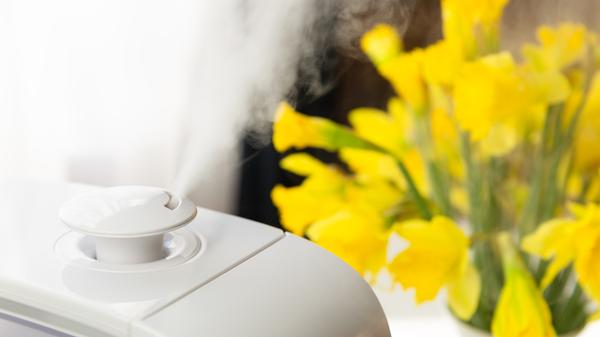 PantherMedia 28164053