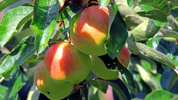 imago images 168072346