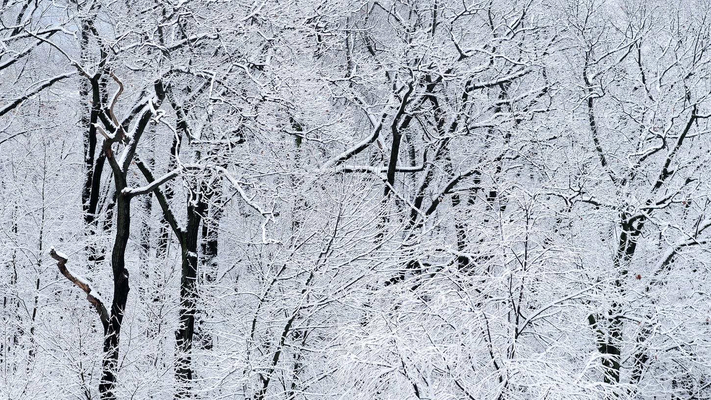 Der Winter in Deutschland könnte deutlich kälter werden als bisher vermutet.