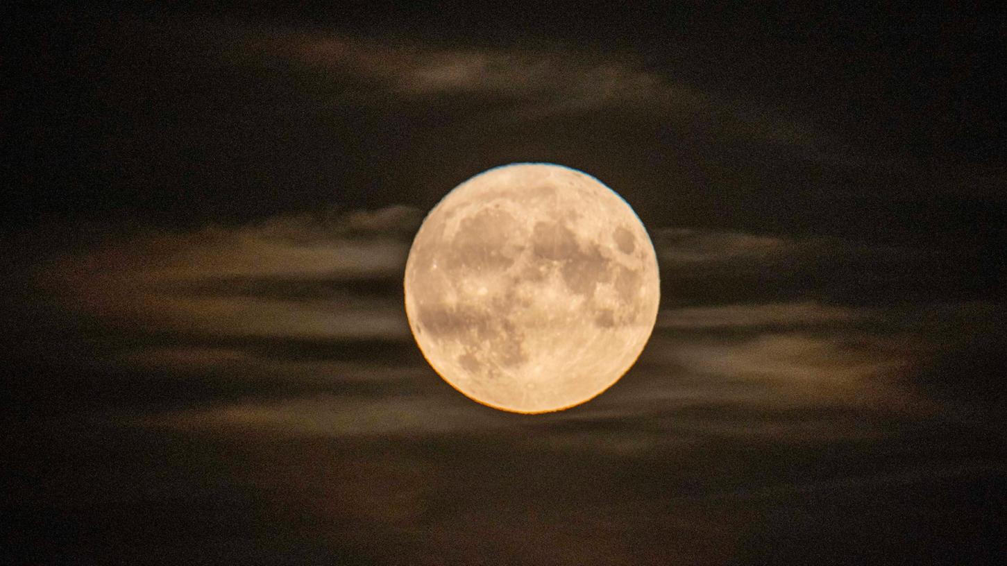 Ob der Mond heute Nacht auch so klar zu sehen ist? Die Nächte werden weltweit durch künstliches Licht immer heller. Das bedroht Insekten und Vögel.