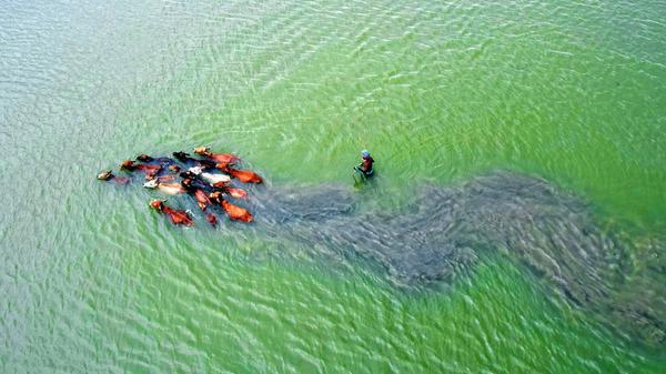 imago images 161886696