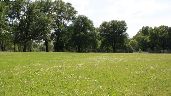Unter der Woche herrscht rund um den Dutzendteich eher Grillflaute. Wer sich also nach der Arbeit in aller Ruhe ein Würstchen grillen möchte, sollte hierher kommen.