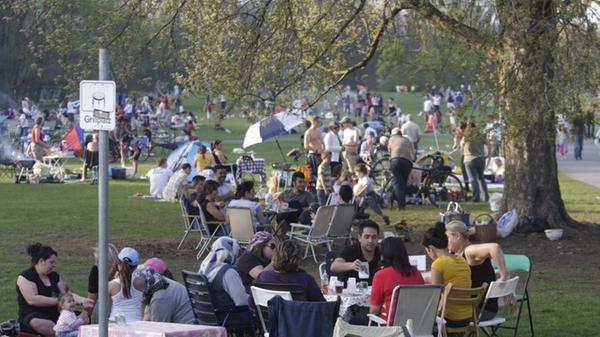 Wer sich nicht auf einem offiziell ausgeschilderten Grillplatz vergnügt, der kann mit dem Gesetz in Konflikt treten. Hier wird jedoch alles richtig gemacht.