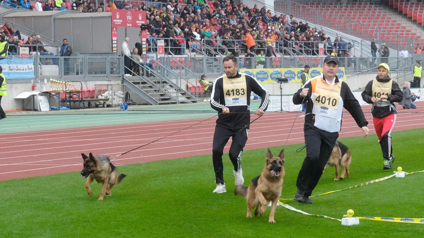 Geht es beim Weltchampionat für Deutsche Schäferhunde auf die Trabrunden, sollten auch die Hundeführer Kondition haben. 
