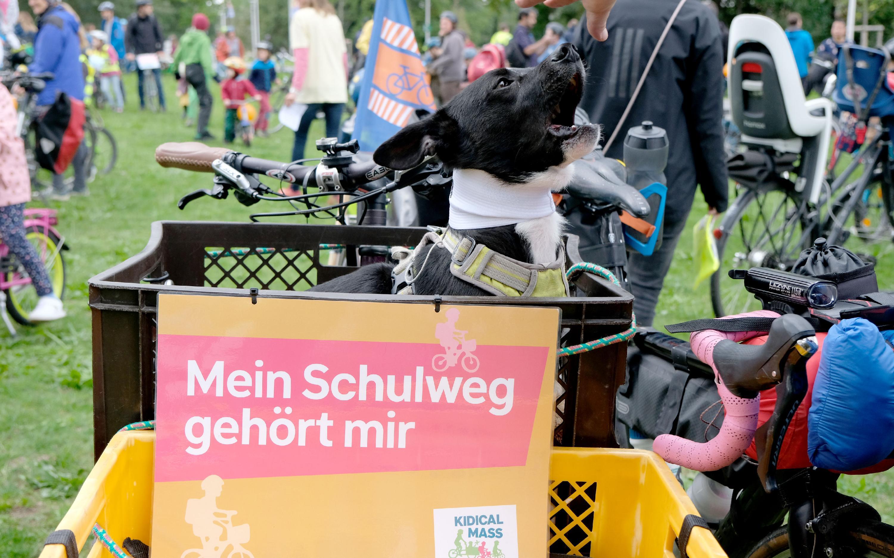 Ebenso fuhr ein im Korb mit. Und das Schild: "Mein Schulweg gehört mir."