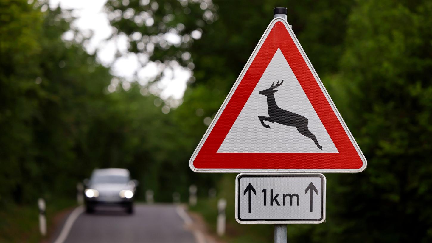 Als der 46-Jährige bei Pappenheim unterwegs war, überquerte ein Reh die Straße (Symbolbild).