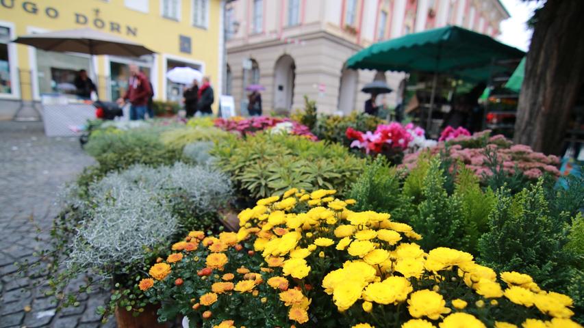 In Bad Windsheims Altstadt geht am Sonntag von 9 bis 17 Uhr ein schnuckeliger Herbstmarkt über die Bühne. Die Geschäfte haben in der Zeit von 13 bis 17 Uhr geöffnet und laden zum Bummeln ein. 
