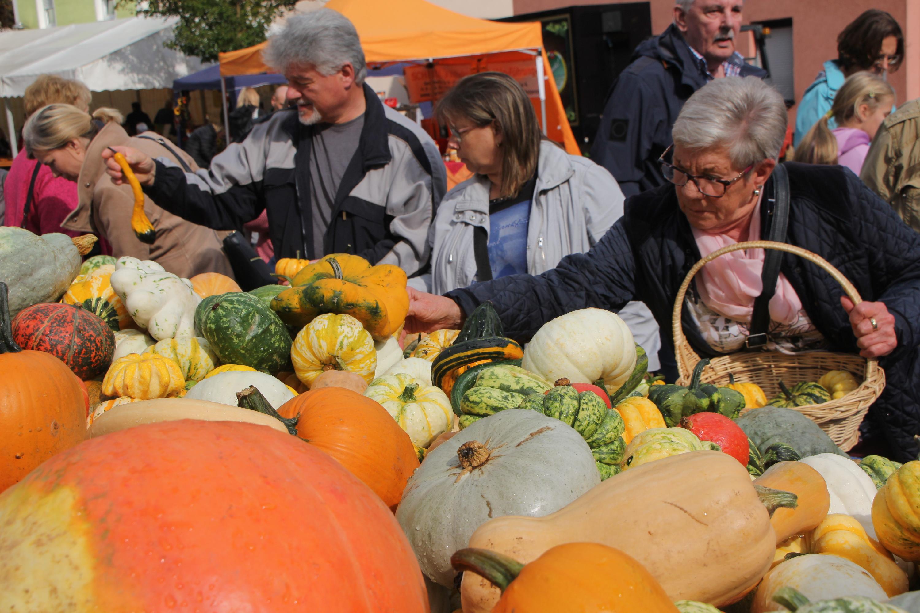 Kürbismarkt in Büchenbach So farbenfroh leuchtet der Herbst! Nordbayern