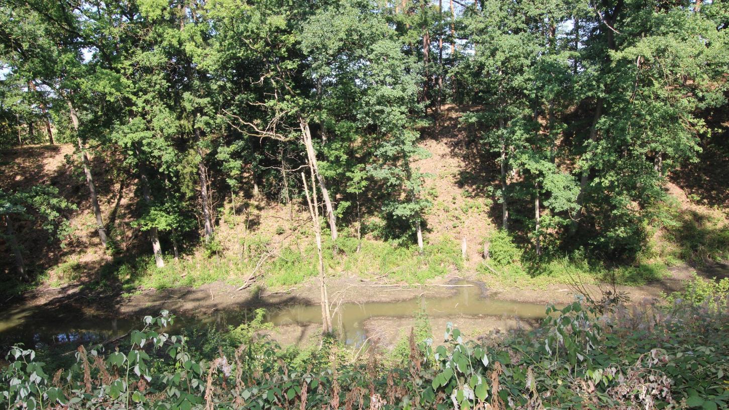 Kein Biber und kein Wasser: Der Karlsgraben gab in diesem Sommer ein eher bescheidenes Bild ab. 
