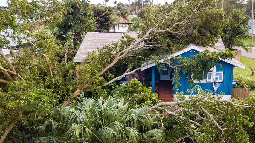 Ein Olivenbaum ist in St. Petersburg, Florida, auf ein Haus gefallen, während "Ian" hier über den Ort fegte. Die Besitzer des Hauses waren evakuiert worden, so dass sie während des Sturms nicht im Haus waren.