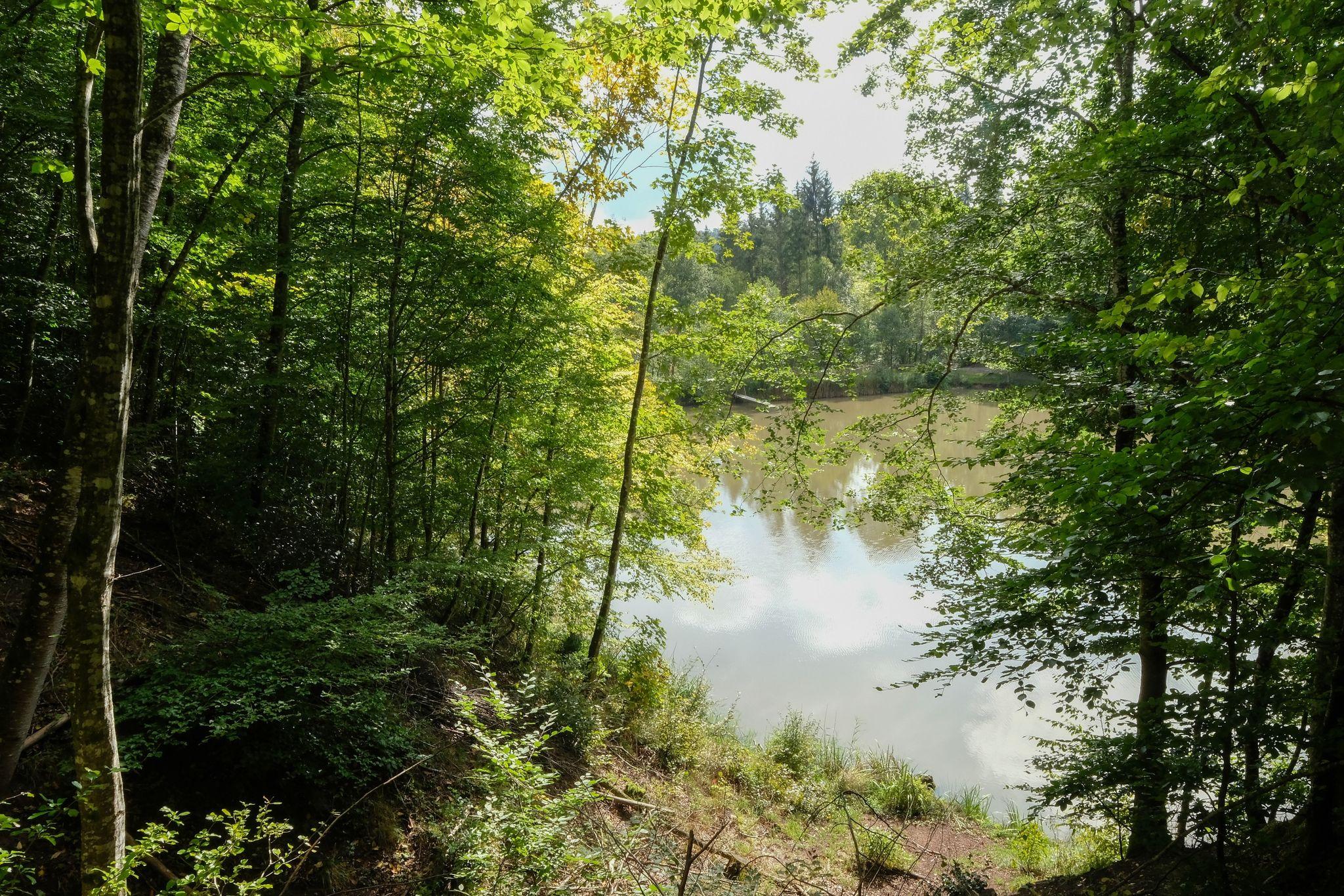 50 Jahre Naturpark Schönbuch Mehr Naturbildung für Kinder
