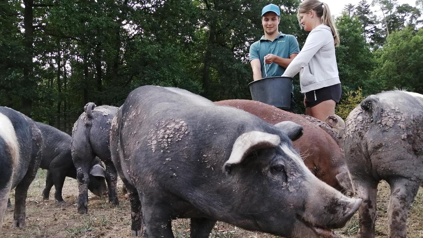 Schwein gehabt: Mit dem Futtereimer in der Hand bleiben Moritz Strobl und Michelle Käslin nicht lange allein.
