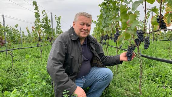Bleimer Schloss: Ein Kieferorthopäde will im Kreis Roth eine neue Weinbauregion aufbauen