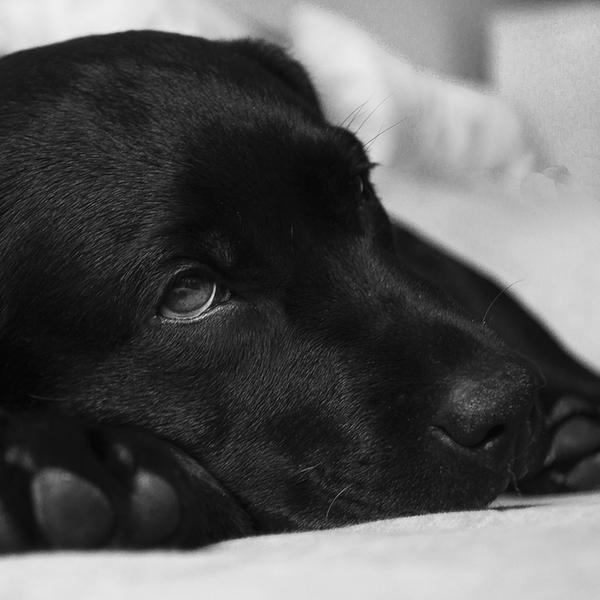 weitere interessante Themen: