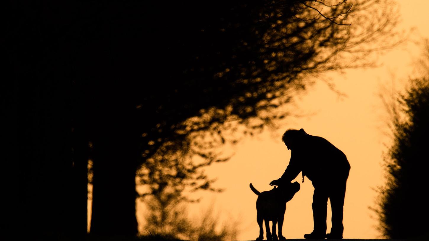 Hundebesitzer wissen, dass die Nähe ihres Haustiers Balsam für die Seele sein kann. Kann ein Plüschtier ähnlich wirken?