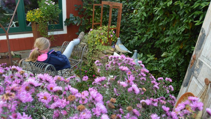 Herbstastern sorgen für Farbpunkte auch im Oktober-Garten: Kinder zeigen uns, wie wir den Garten trotz kühler werdender Tage jetzt genießen können.