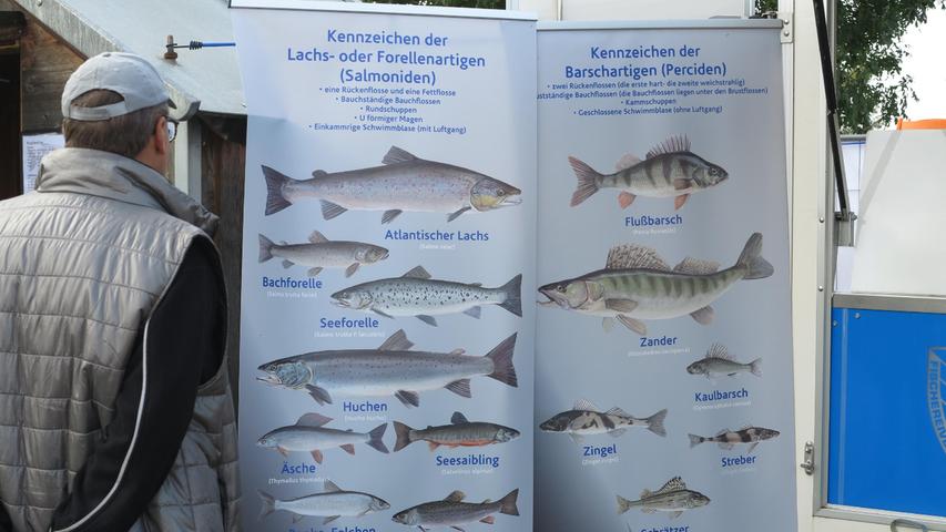 Es gab reichlich Informationen über die Fischarten in den heimischen Gewässern.