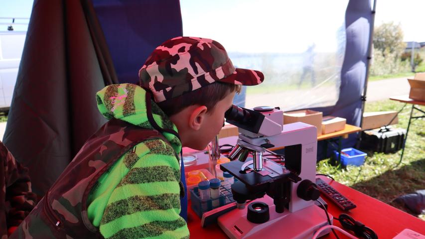 Mithilfe des Mikroskops am Stand des Wasserwirtschaftsamts Ansbach ließen sich kleine Algen gut beobachten.