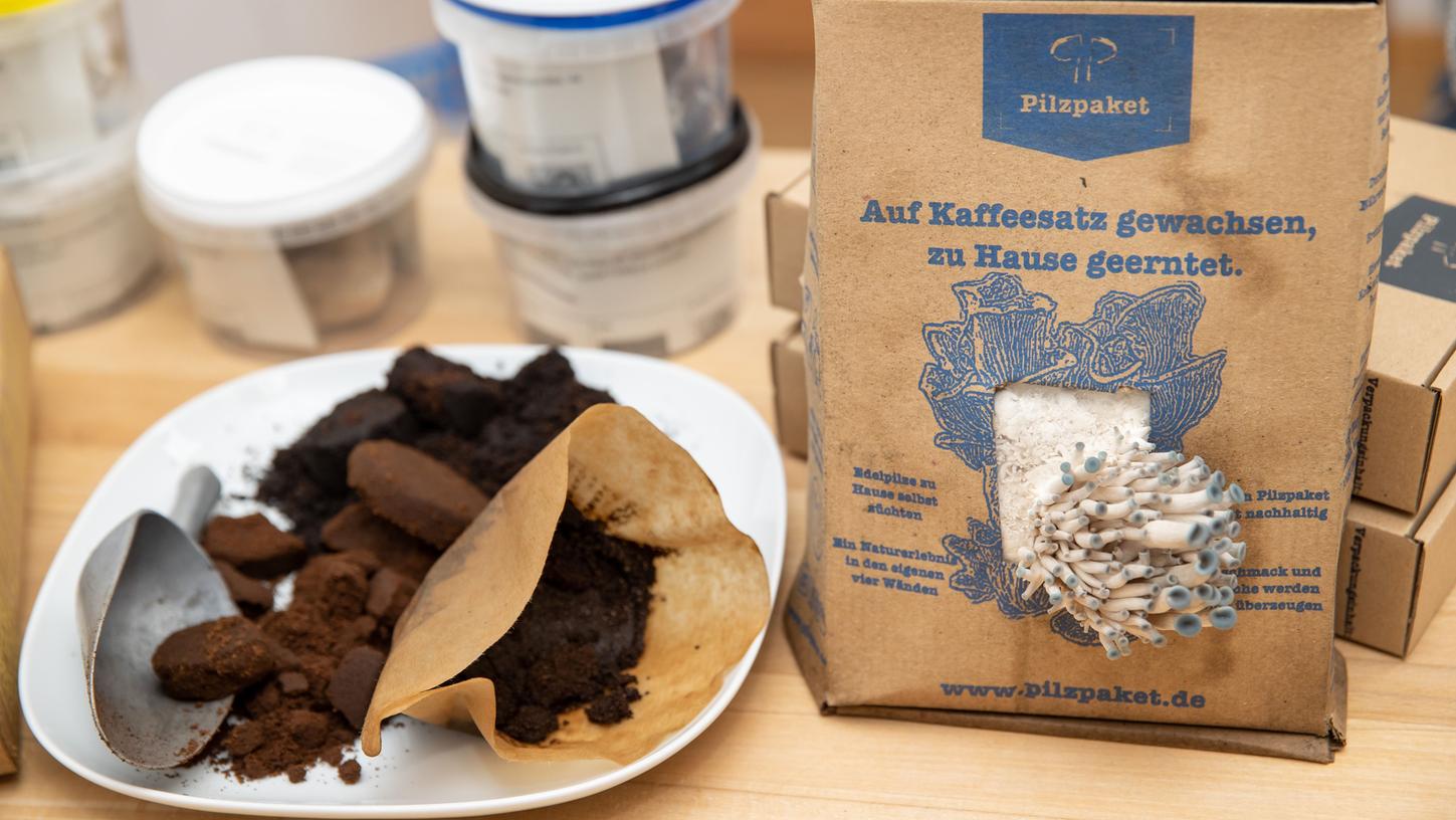 Einfach ein Paket online bestellen, Kaffeesatz zugeben und innerhalb weniger Tage schießen die Pilze in die Höhe. Einfach ein Paket online bestellen, Kaffeesatz zugeben und innerhalb weniger Tage schießen die Pilze in die Höhe.