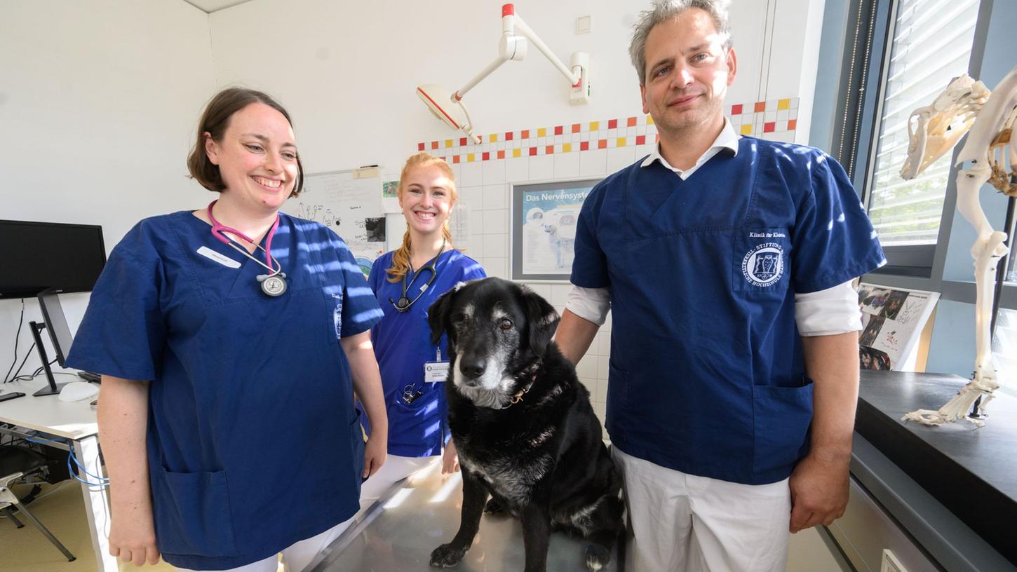 Veterinärneurologin Nina Meyerhoff, Doktorantin Julia Haake, Doktorantin und Holger Volk, Leiter der Klinik für Kleintiere der TiHo, untersuchen einen Hund mit diagnostizierter Demenz. Veterinärneurologin Nina Meyerhoff, Doktorantin Julia Haake, Doktorantin und Holger Volk, Leiter der Klinik für Kleintiere der TiHo, untersuchen einen Hund mit diagnostizierter Demenz.