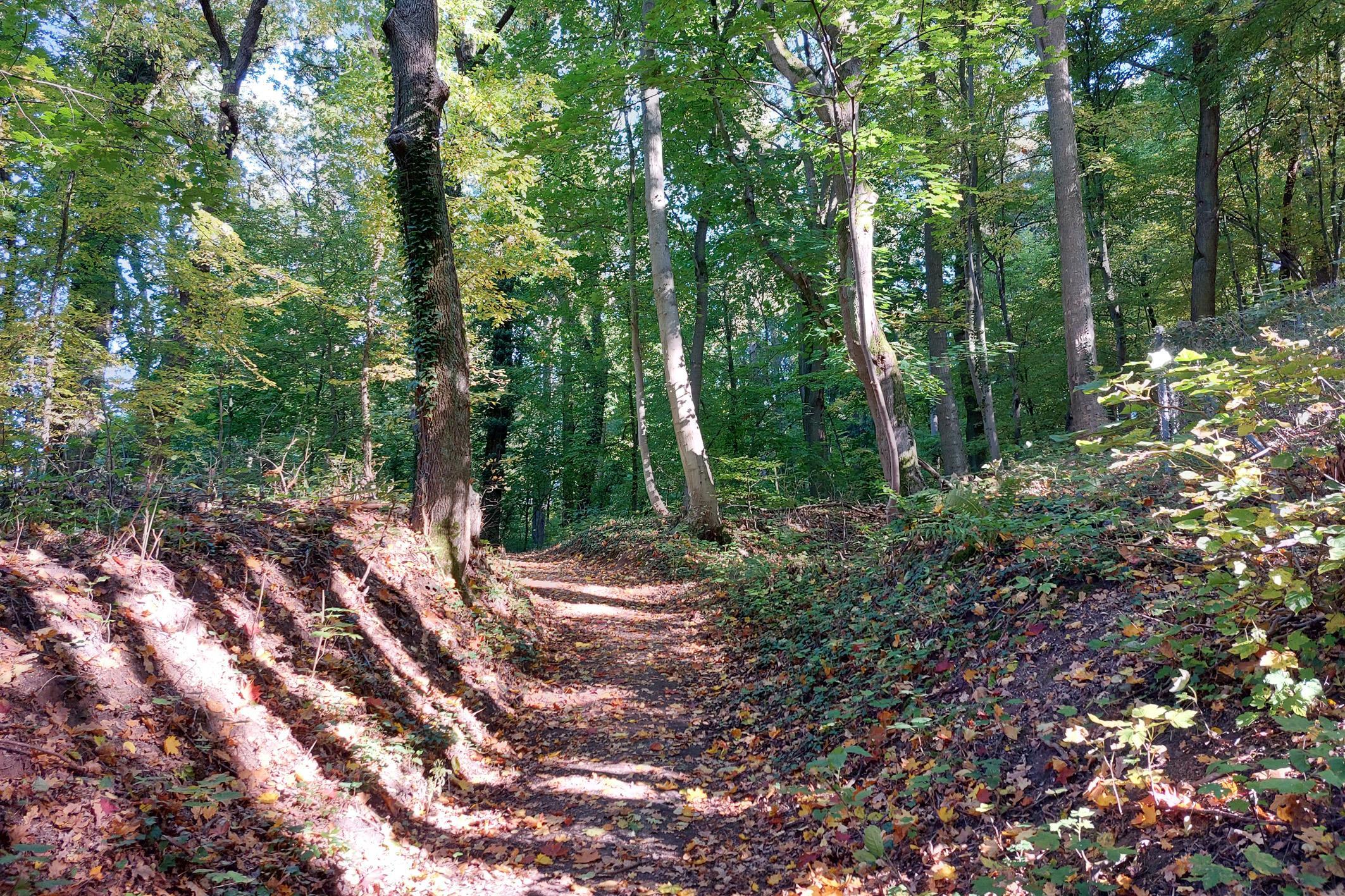  Beim Entlas-Keller den Böttigersteig hinauf... 