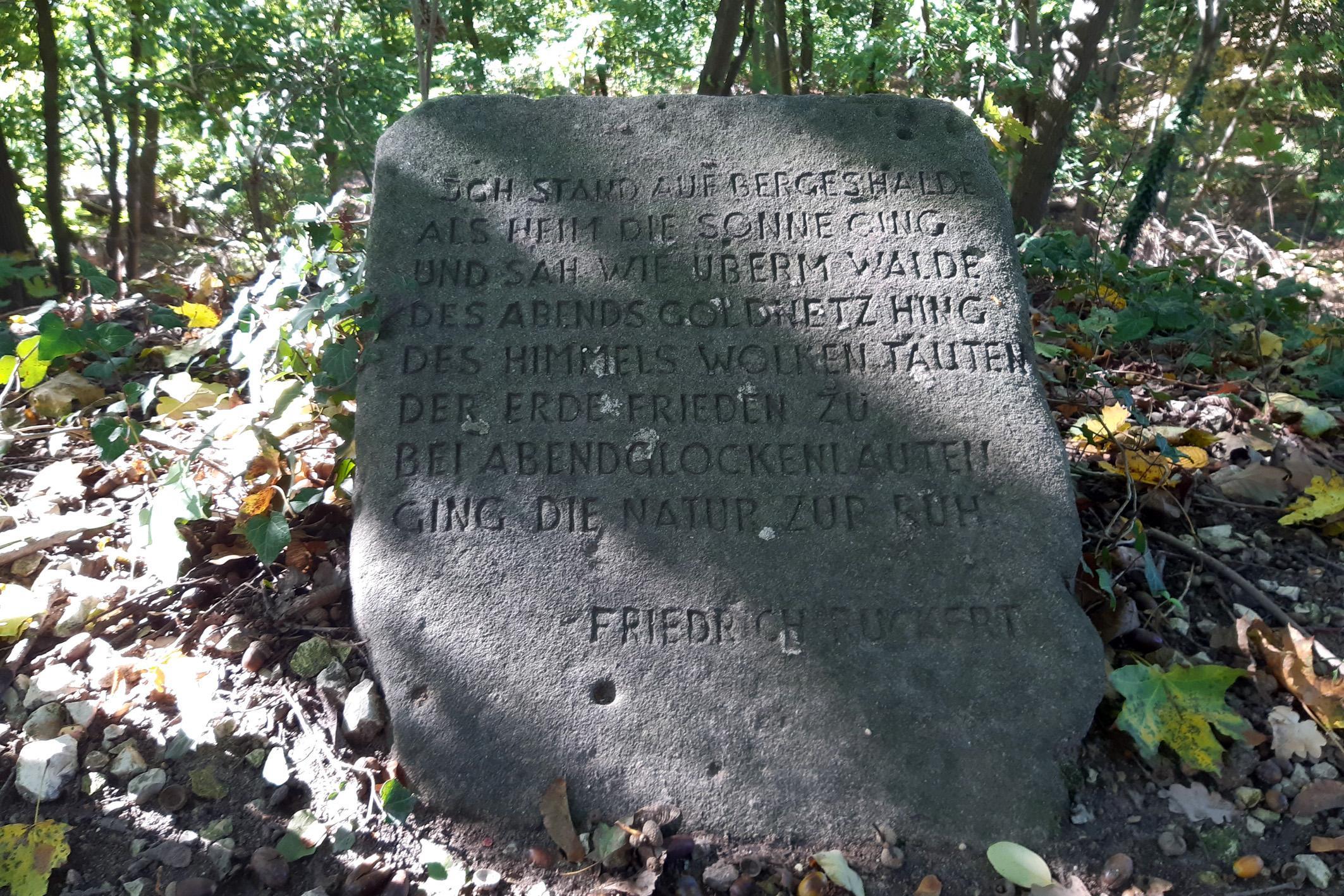 ...kommt man oben an das „Schneckenbergla“ mit dem Rückert-Stein.  In den Sandstein ist ein Vers des Dichters und Sprachgelehrten Friedrich Rückert eingehauen. 
