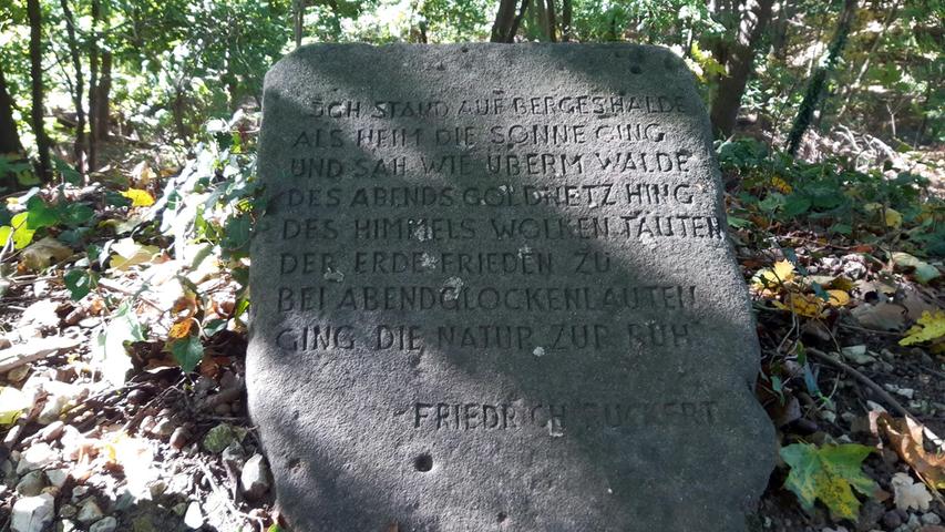 ...kommt man oben an das „Schneckenbergla“ mit dem Rückert-Stein.  In den Sandstein ist ein Vers des Dichters und Sprachgelehrten Friedrich Rückert eingehauen. 