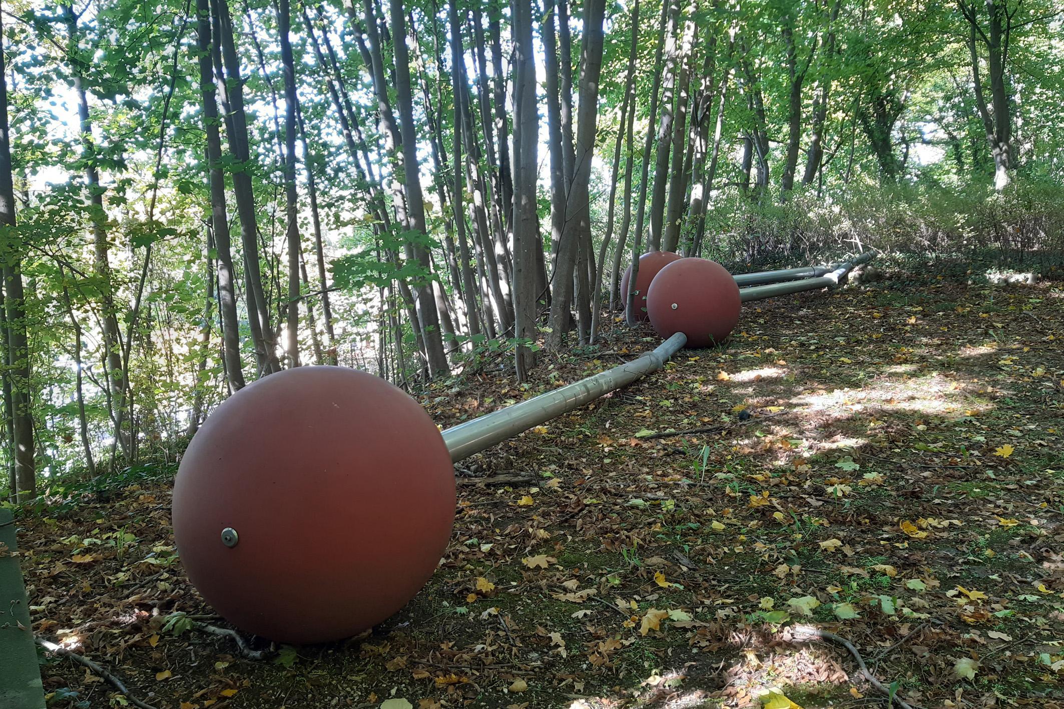 Dort nahe der Baracke der Pfadfinder von Stamm Waräger gibt es Reste eines offenbar einmal schicken Gartens, und sogar drei mächtige Pinnadeln liegen dort herum. Diese stammen aus dem Pinnadeln-Projekt, das einst von der Künstlerin Isi Kunath für das Erlanger Stadtjubiläum konzipiert wurde.