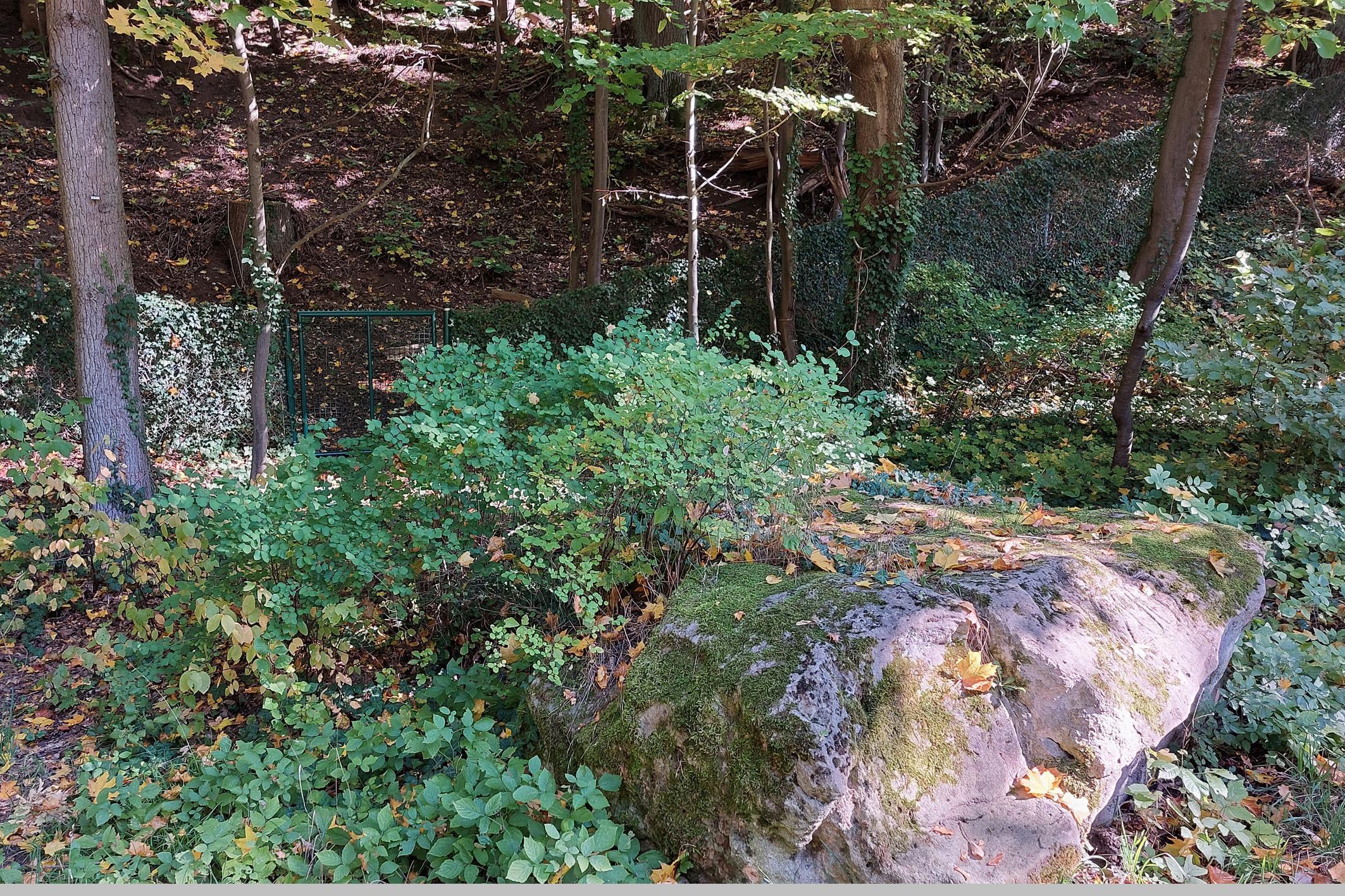 Sandstein am Wegesrand.