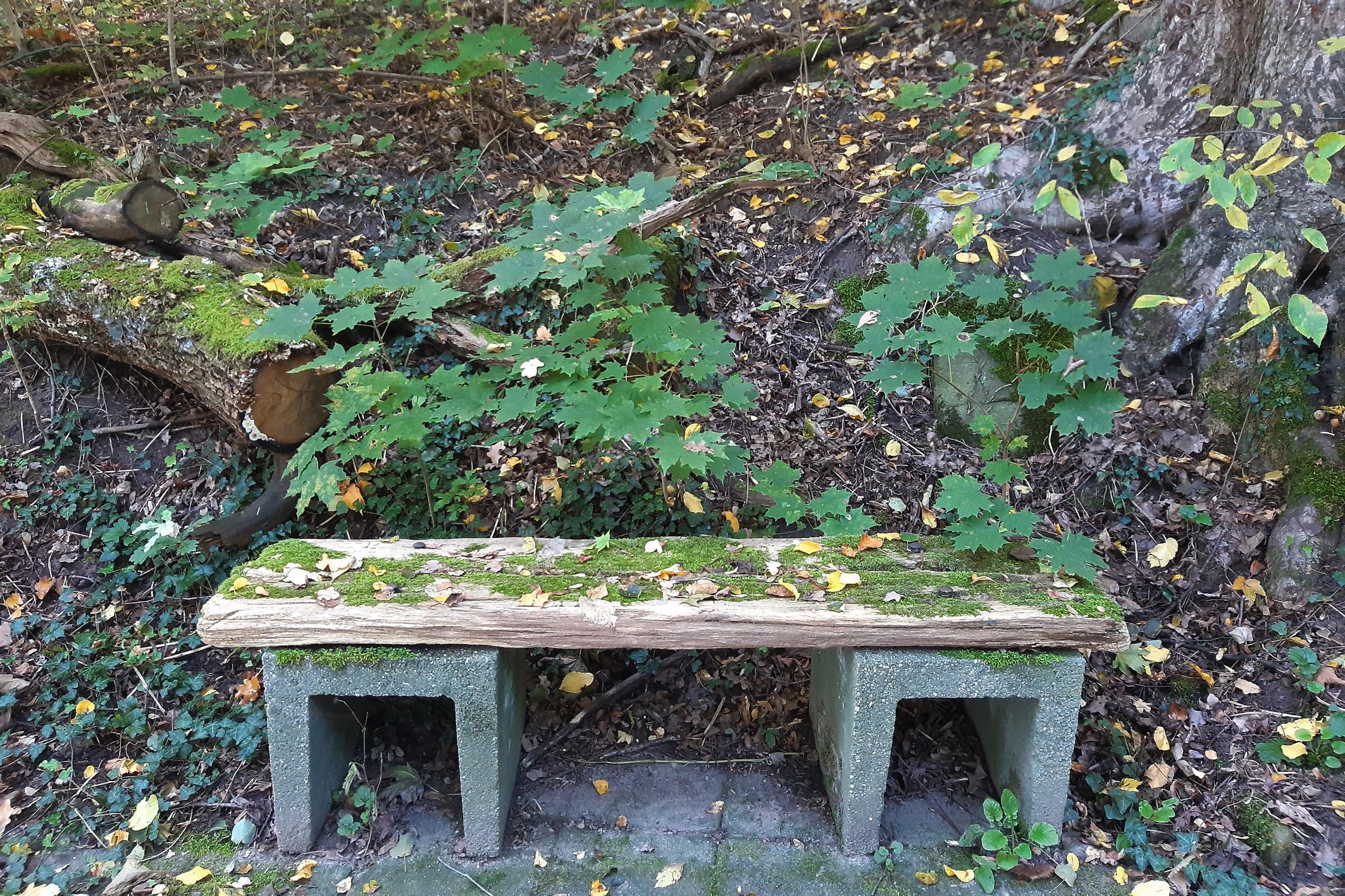 Ein "Rastplatz" am Burgberg.