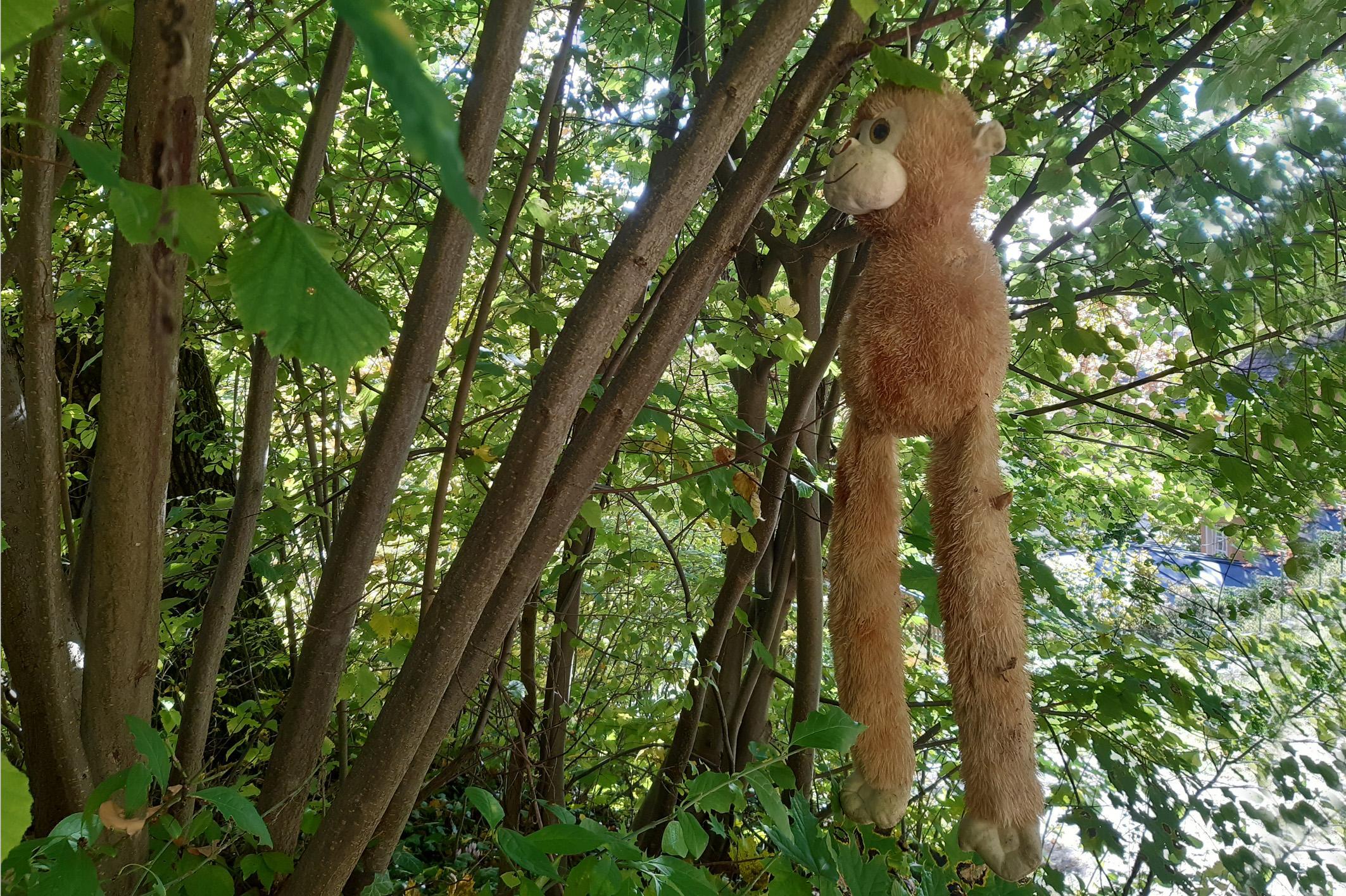 Vermutlich bei der Bergkirchweih verloren gegangen: Ein Stofftier im Kirchner-Garten.