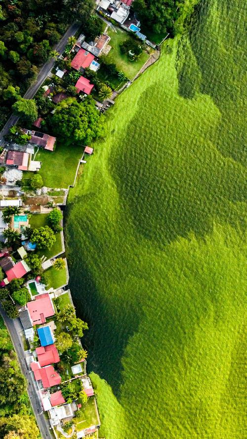 Der Amatitlán nimmt jährlich 75 000 Tonnen Abfall aus Guatemala-Stadt auf – Algen wachsen, der See stirbt.  