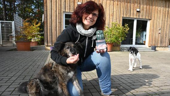 Tierisch hilfreich, sogar in der Ukraine: Rother Tierheim erhält bayerischen Tierschutzpreis