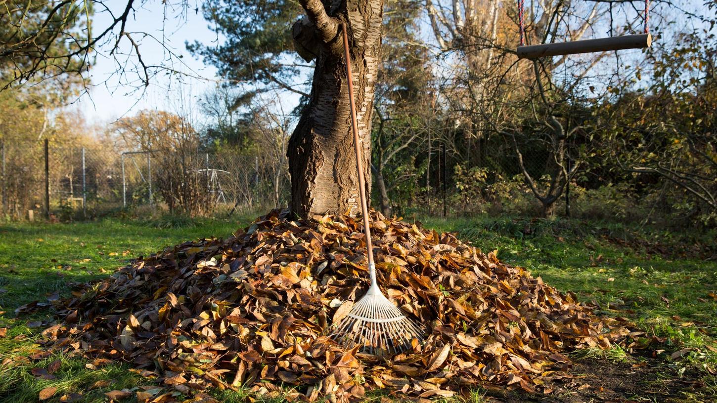 Ab auf den Kompost! Das mühsam zusammengeharkte Herbstlaub wird so zu neuer Erde oder wertvollem Dünger.