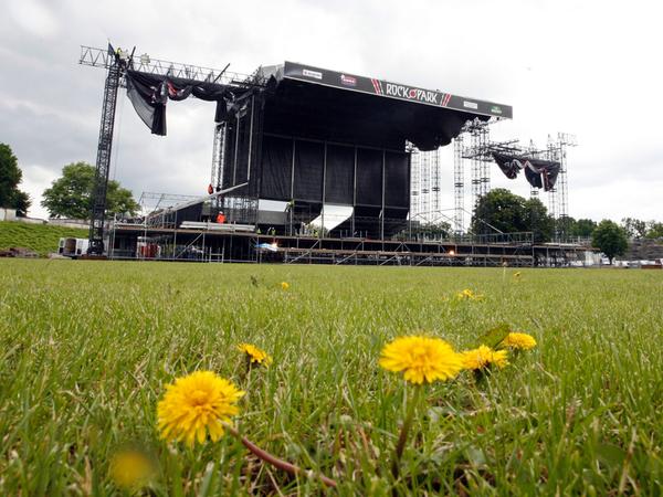 Löwenzahn am Dutzendteich vor dem großen Ansturm der Park-Rocker.