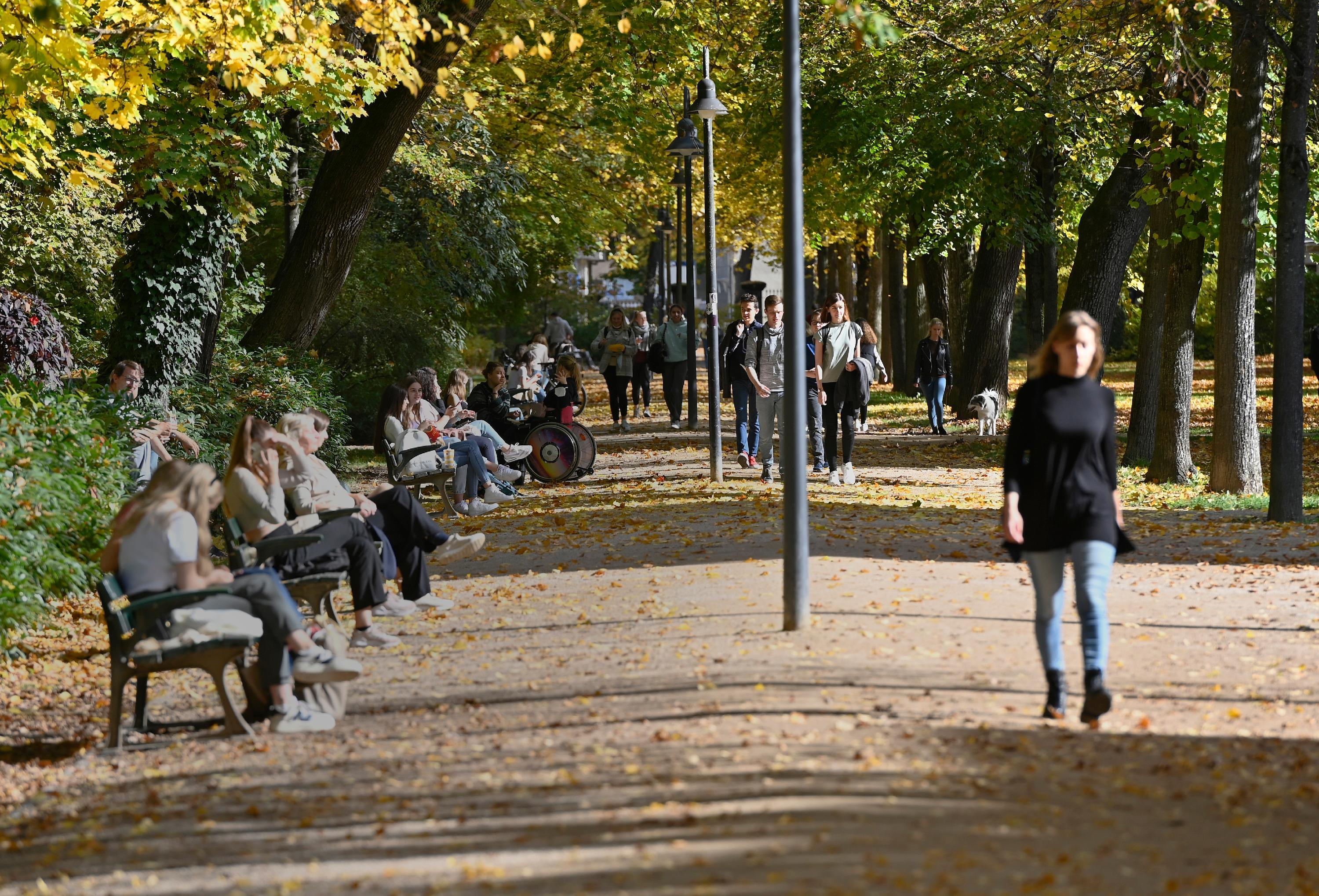 Das gute Wetter lässt sich zum Semesterstart auch im Schlossgarten genießen. Dabei tauschen sich einige Studierende über die bevorstehenden Veranstaltungen aus ...