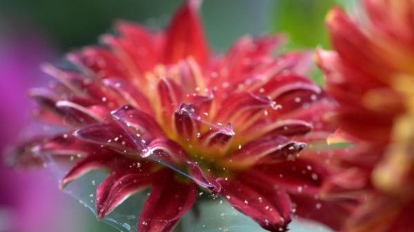 imago images 166072872