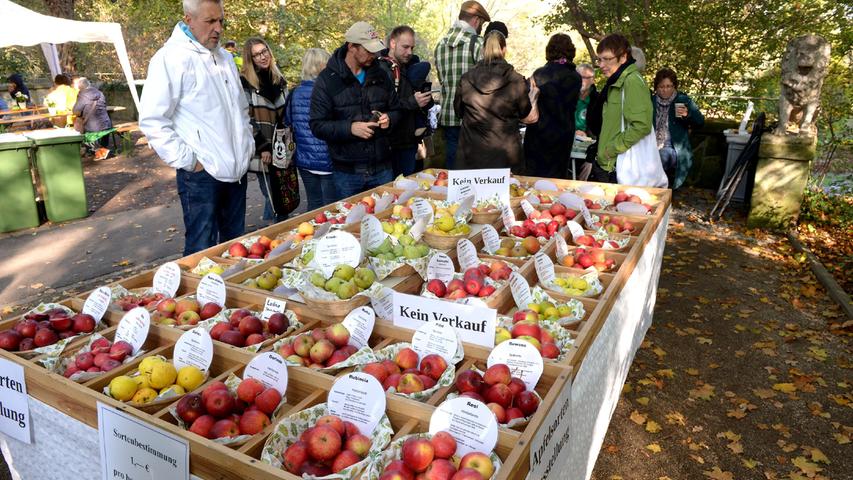 Im Fürther Stadtpark steigt diesen Sonntag ein Apfelmarkt. Von 10 bis 17 Uhr sind entlang der Hans-Schiller-Allee zahlreiche Stände aufgebaut, an denen Sie sich über das leckere Obst, aber auch über Wild- und Honigbienen, Artenvielfalt und Naturschutz informieren können. Mitmachprogramme runden das Ganze ab.